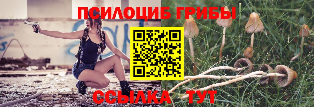 Усолье-Сибирское  Псилоцибиновые грибы GOLDEN TEACHER  Вход с VPN  Галлюциногенные грибы Psilocybe 